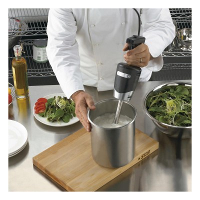 Waring WSB40E - Stavmixer - Bild 2
