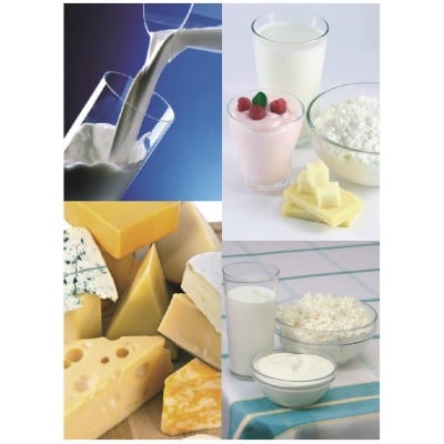 PLEVNIK PH100 - Mjölk, Yoghurt, Pastörisator - Bild 3